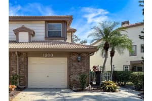 1203 CLAYS TRAIL, OLDSMAR, FL 34677 - MLS#MFRW7871895