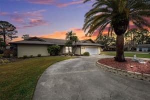 5449 DAHLGREN DRIVE, NEW PORT RICHEY, FL 34652 Sold 02/20/25