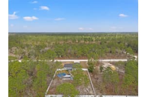 13094 TAILORBIRD AVENUE, BROOKSVILLE, FL 34614 - MLS#MFRW7871944