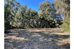 0 139TH TERRACE, OCALA, FL 34481 Sold 05/12/25