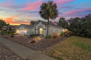 444 QUANE AVENUE, SPRING HILL, FL 34609 Sold 03/14/25