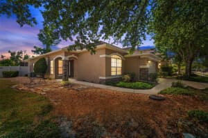 11602 BATHGATE COURT, NEW PORT RICHEY, FL 34654 Sold 04/03/25