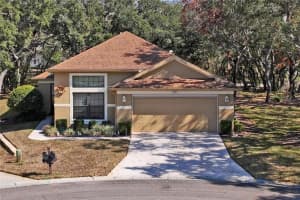 541 BENT OAK COURT, SPRING HILL, FL 34609 Sold 03/20/25