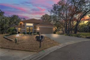 541 BENT OAK COURT, SPRING HILL, FL 34609 Sold 03/20/25