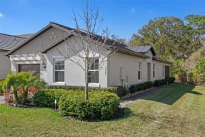 16723 SHELL BAY DRIVE, LAND O LAKES, FL 34638 Sold 05/07/25