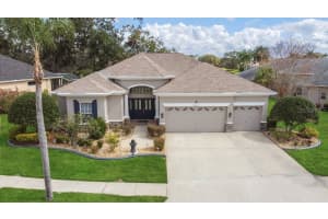 9033 CALLAWAY DRIVE, TRINITY, FL 34655 Sold 05/16/25
