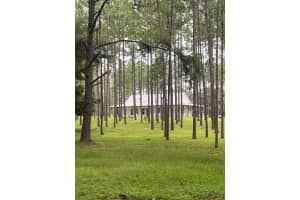 23089 GRUBBS ROAD, BROOKSVILLE, FL 34601 Sold 03/14/25