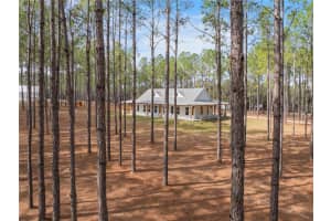 23089 GRUBBS ROAD, BROOKSVILLE, FL 34601 Sold 03/14/25