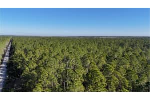 0 OLD TRAIN ROAD, NEW SMYRNA BEACH, FL 32168 - MLS#MFRW7872154