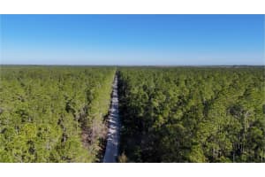 0 OLD TRAIN ROAD, NEW SMYRNA BEACH, FL 32168 - MLS#MFRW7872154