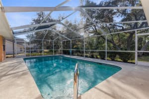 397 SILAS COURT, SPRING HILL, FL 34609 Sold 04/15/25