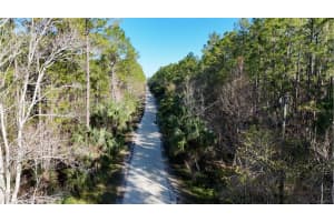 OLD TRAIN RD, NEW SMYRNA BEACH, FL 32168 - MLS#MFRW7872176