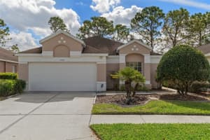 5548 CANNONADE DRIVE, WESLEY CHAPEL, FL 33544 Sold 05/23/25
