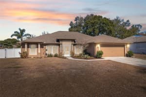 11299 BLYTHVILLE ROAD, SPRING HILL, FL 34608 Sold 03/26/25