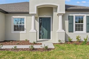 14421 NONNA SKY DRIVE DRIVE, SPRING HILL, FL 34609 - MLS#MFRW7872240