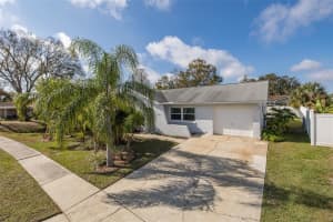 4369 BLACK FOX DRIVE, NEW PORT RICHEY, FL 34653 Sold 03/14/25