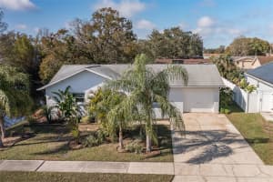 4369 BLACK FOX DRIVE, NEW PORT RICHEY, FL 34653 Sold 03/14/25