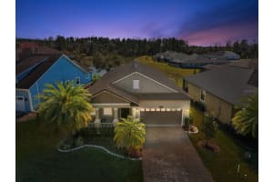 19504 Lily Pond Ct, BROOKSVILLE