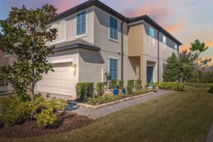 29917 SOUTHWELL LANE, WESLEY CHAPEL, FL 33543 Sold 05/16/25