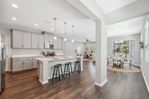 29917 SOUTHWELL LANE, WESLEY CHAPEL, FL 33543 Sold 05/16/25