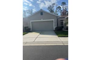 7219 CLEOPATRA DRIVE, LAND O LAKES, FL 34637 Sold 05/02/25