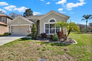 10910 MAY APPLE COURT, LAND O LAKES, FL 34638 Sold 06/12/25