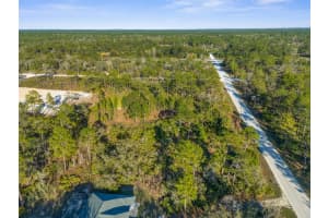 0 PALMDALE ROAD, WEEKI WACHEE, FL 34614 Sold 03/20/25
