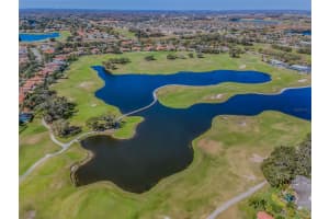 10309 ALTRARA WAY, TRINITY, FL 34655 Sold 03/06/25