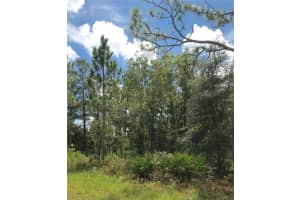 LOT 15 SLEEPY HOLLOW, BROOKSVILLE, FL 34614 Sold 09/16/25
