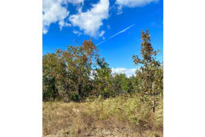 13125 MEADOW SWALLOW AVENUE, BROOKSVILLE, FL 34613 - MLS#MFRW7872538