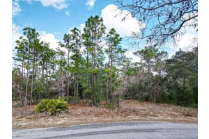 32 SPECEBERRY CIRCLE, HOMOSASSA, FL 34446 - MLS#MFRW7872556