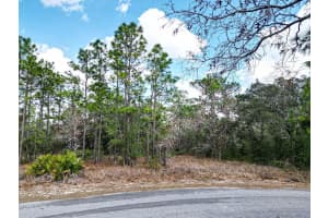 32 SPECEBERRY CIRCLE, HOMOSASSA, FL 34446 - MLS#MFRW7872556