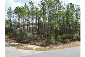 3 SPECEBERRY COURT, HOMOSASSA, FL 34446 Sold 07/08/25