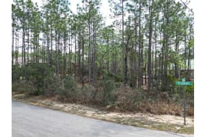3 SPECEBERRY COURT, HOMOSASSA, FL 34446 Sold 07/08/25