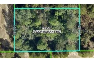 13408 CORMORANT ROAD, BROOKSVILLE, FL 34614 - MLS#MFRW7872560