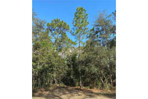 13408 CORMORANT ROAD, BROOKSVILLE, FL 34614 - MLS#MFRW7872560