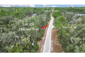 THACKER TRL, KISSIMMEE, FL 34747 - MLS#MFRW7872619