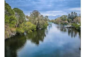646 RIVERSIDE DRIVE, TARPON SPRINGS, FL 34689 - MLS#MFRW7872675