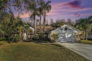 4739 MAHOGANY COURT, LAND O LAKES, FL 34639 Sold 04/07/25