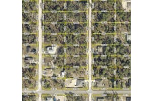14 ENGLISH PARROT, BROOKSVILLE, FL 34614 Sold 03/25/25