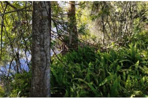 0 BELAH DRIVE, NEW PORT RICHEY, FL 34653 Sold 09/05/25