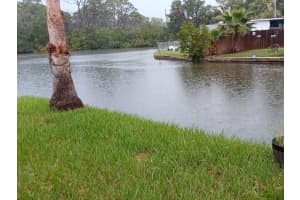 5029 OSPREY LANE, NEW PORT RICHEY, FL 34652 Sold 05/13/25