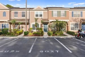 6027 Bayside Key Dr, TAMPA