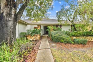 3255 MEADOW VIEW LANE, PALM HARBOR, FL 34683 Sold 05/30/25