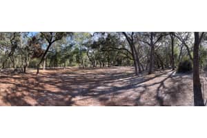 16347 ALBRIGHT ROAD, SPRING HILL, FL 34610 - MLS#MFRW7872909