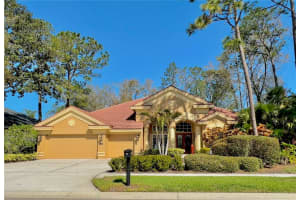 2806 Grey Oaks Blvd, TARPON SPRINGS