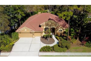 2806 GREY OAKS BOULEVARD, TARPON SPRINGS, FL 34688 - MLS#MFRW7872920