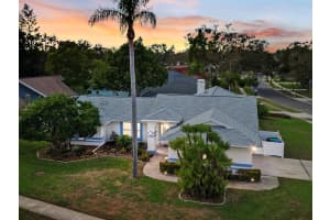 288 ALPINE COURT, PALM HARBOR, FL 34683 Sold 04/11/25