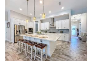 21804 BRISKE MORNING AVENUE, LAND O LAKES, FL 34637 Sold 04/30/25
