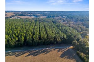 9999 SPRING LAKE HWY, BROOKSVILLE, FL 34601 - MLS#MFRW7872970